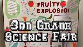 20 Science Fair Project Ideas for 3rd Grade  STEM Activities [upl. by Cathy94]