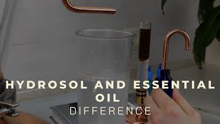 Hydrosol vs Essential oil  Beginners guide  distillation at home [upl. by Atiken]