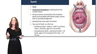 upper gastrointestinal endoscopy procedure [upl. by Araes]