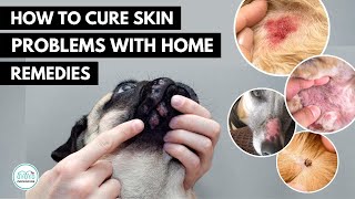 How To treat 5 Skin infection in dogs 🐕 with home remedies [upl. by Lacim481]