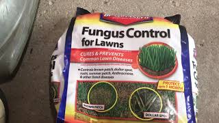 Lawn Fungus Fix  Applying Fungicide To Fix Lawn Disease [upl. by Hedvige966]