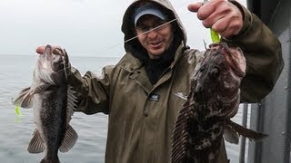 Oregon Coast Rockfish amp Lingcod [upl. by Pippas900]