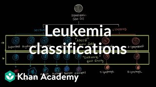 Leukemia classifications  Hematologic System Diseases  NCLEXRN  Khan Academy [upl. by Holton]