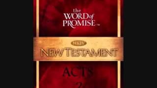 BOOK OF ACTS  NKJV [upl. by Icyaj713]