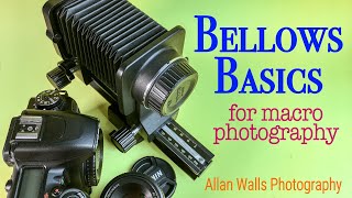 Bellows Basics for Macro Photography [upl. by Shewmaker]