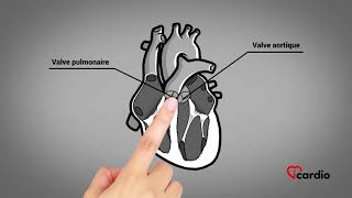 La physiopathologie de linsuffisance cardiaque [upl. by Oliana]