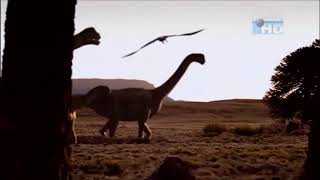 When Dinosaurs Roamed America  Camarasaurus [upl. by Leese103]