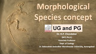 Morphological species concept [upl. by Alby]