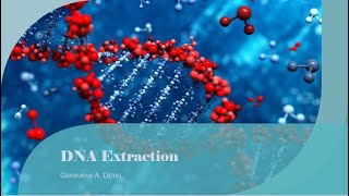 DNA Extraction [upl. by Denna]