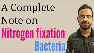 Nitrogen fixation in hindi  nitrogen fixing bacteria  symbiotic nitrogen fixation  microbiology [upl. by Dylana355]