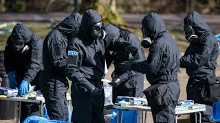 2 Russians charged over Skripal poisoning [upl. by Attenaej734]