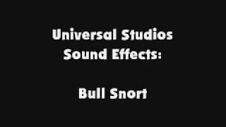 Universal Studios SFX Bull Snort [upl. by Logan]