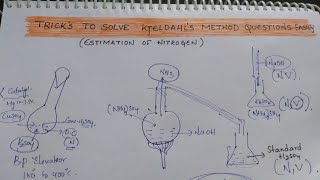 Tricks To Solve Kjeldahl Method Questions Easily  Estimation of Nitrogen [upl. by Ailuig]