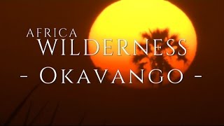 The Okavango Delta Wilderness Safaris Style [upl. by Ayotal309]