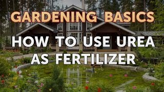 How to Use Urea as Fertilizer [upl. by Nnylharas37]