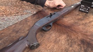 Remington Nylon 66 22 LR [upl. by Katy]