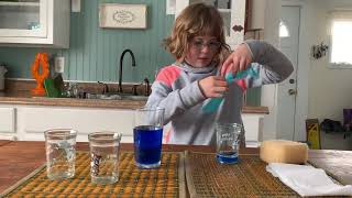 Absorbency Experiment for Kids [upl. by Annavoig]