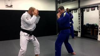 Eddie Kone Academy  Basic Striking concepts for Gracie JiuJitsu [upl. by Hazrit]