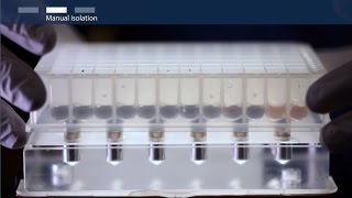 How to isolate total RNA using magnetic bead–based technology [upl. by Acsisnarf]