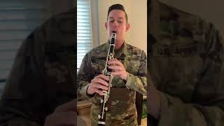 Theme from Romeo and Juliet on Clarinet Shorts [upl. by Laughry]