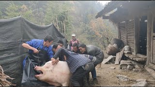 The new method of killing pigs in rural areas is easy to handle by two people Its really fun [upl. by Marfe]