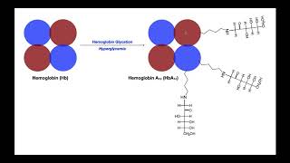 A1c EXPLAINED  What is it and why should I care [upl. by Yendic]