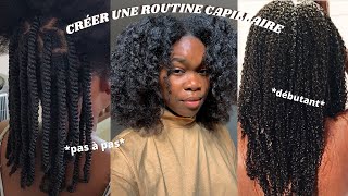 COMMENT CRÉER SA ROUTINE CAPILLAIRE CHEVEUX CRÉPUS  BOUCLÉSFRISÉS [upl. by Sane]