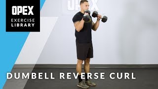 Dumbbell Reverse Curl  OPEX Exercise Library [upl. by Refiffej720]