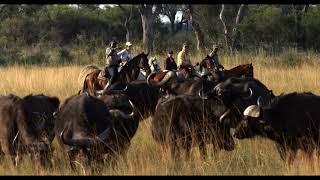 Horseback safari in the Okavango Delta  Camp Macatoo [upl. by Rufe]