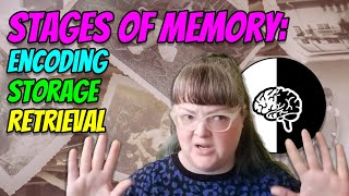 Stages of Memory Encoding Storage and Retrieval [upl. by Ecidnak]