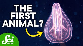 The First Animal Ever on Earth [upl. by Berton]