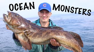 Catching GIANT Lingcod With Live Bait Vancouver Island [upl. by Tattan]