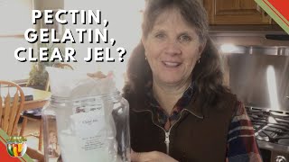 Home Canning Pectin Gelatin or Clear Jel [upl. by Itagaki]