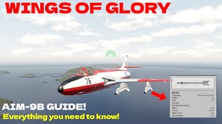 Wings of Glory Missile Guide  AIM9B [upl. by Damon]