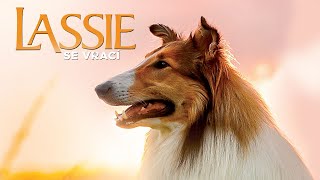 Lassie se vrací 2020  HD Trailer  CZ dabing [upl. by Macfarlane]