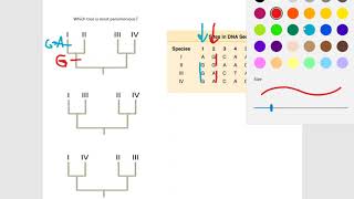 Find the most parsimonious tree [upl. by Justin]