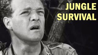 How to Survive in the Jungle  US Army Air Forces Training Film  1944 [upl. by Reisch]