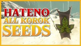 Zelda Breath of the Wild  All Korok Seeds  Hateno Region [upl. by Nihsfa]