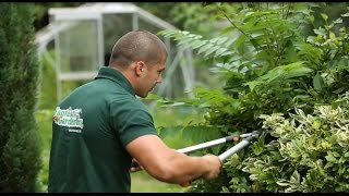 Professional Gardening Services in London  Fantastic Gardeners [upl. by Wing]