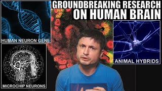 Groundbreaking Discoveries About The Human Brain and Our Neurons [upl. by Adimra]