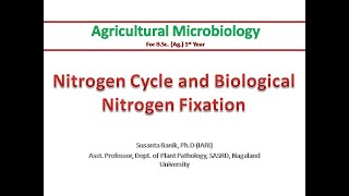 Nitrogen cycle amp Biological Nitrogen Fixation  Nitrification Denitrification  Rhizobium amp legume [upl. by Deckert]