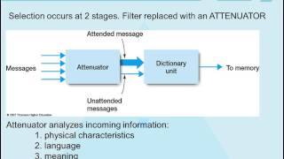 Theories of Attention [upl. by Neiman]