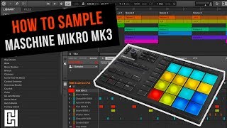 How To Sample on Maschine Mikro MK3  Tutorial [upl. by Agnimod]