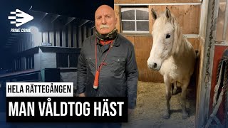 MAN VÅLDTOG HÄST  HELA RÄTTEGÅNGEN [upl. by Elvia]