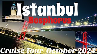 Bosphorus Cruise Istanbul  Bosphorus Bridge  Bosphorus Boat Tour [upl. by Lledroc]