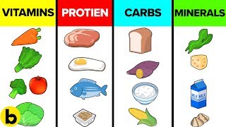 How The Six Basic Nutrients Affect Your Body [upl. by Blackstock]