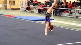 2016 IL State Boys Gymnastics Championships  Charley Thompson [upl. by Iruahs]