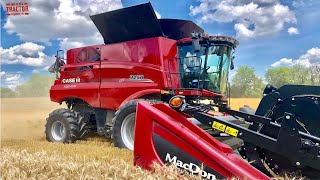 Case IH 9250 AxialFlow Combine Harvesting Wheat [upl. by Winny]