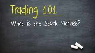 Trading 101 What is the Stock Market [upl. by Esoranna927]