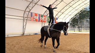 Equestrian Vaulting  1 Star Compulsories At The Trot [upl. by Autum]